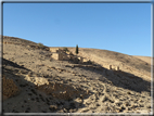 foto Castello di Shobak